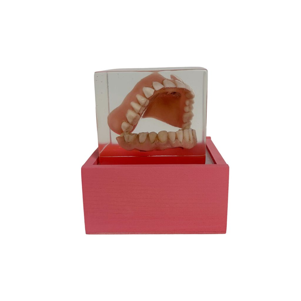 Marta Zientkowska/Astrid Köhler, Gebiss, Art-trouvé-Objekt, 10x11x11cm, beleuchtet, 2026 