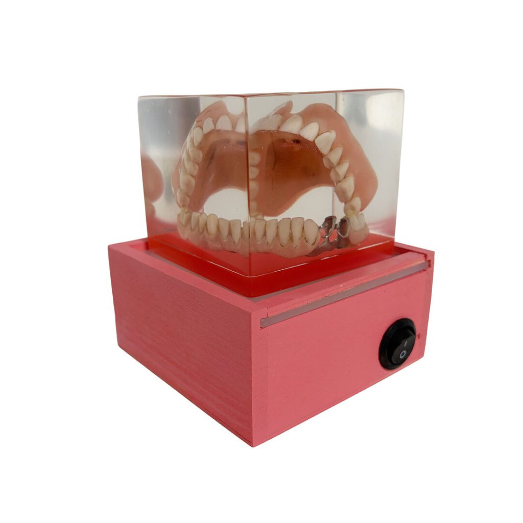 Marta Zientkowska/Astrid Köhler, Gebiss, Art-trouvé-Objekt, 10x11x11cm, beleuchtet, 2026 